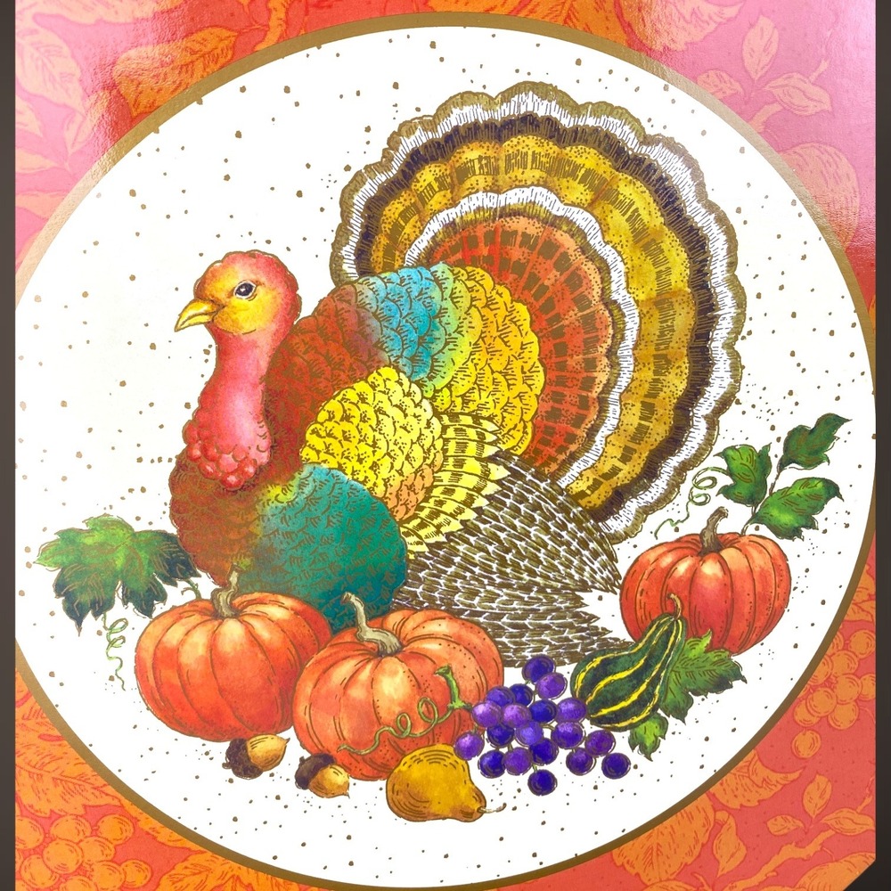 80s Thanksgiving Turkey PAPER Placemats 14 Reversible Color Page Back DISPOSABLE - Picture 5 of 8